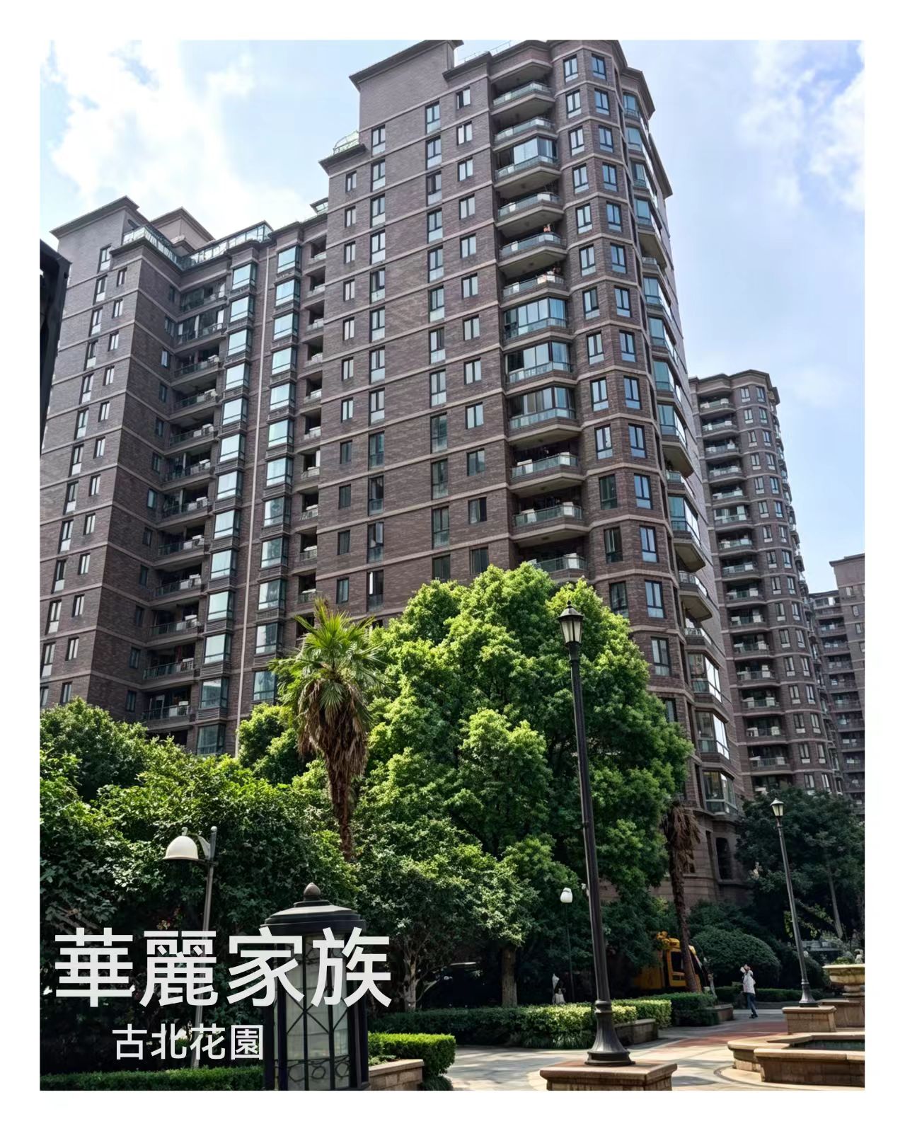 华丽家族.jpg 华丽家族.jpg